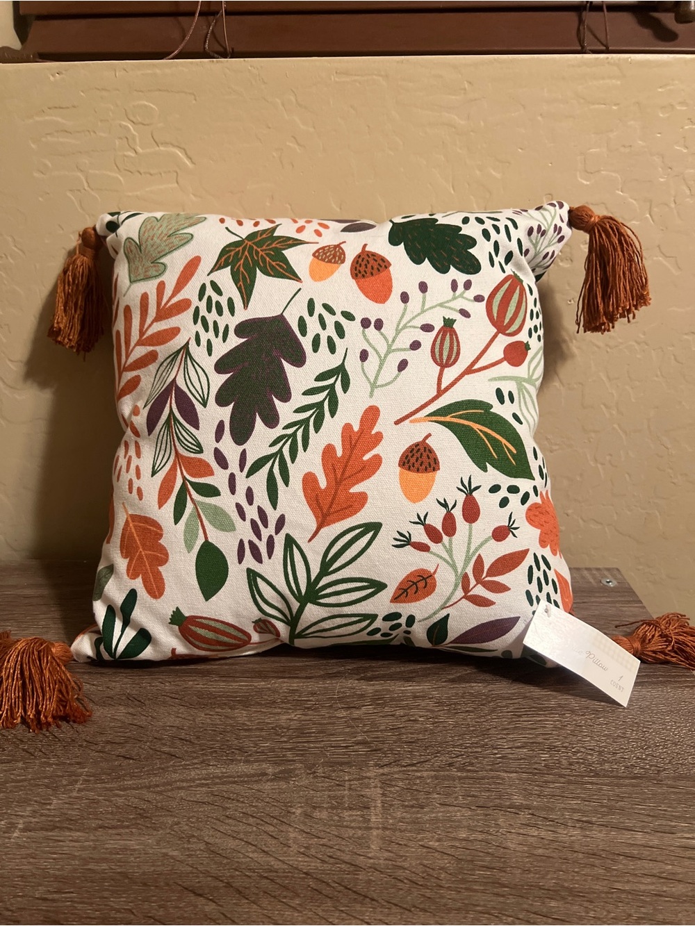 Target Bullseye Throw Pillow Fall Leaves Tassels Autumn Acorns Orange Green NWT